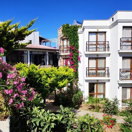Ayhan Bodrum